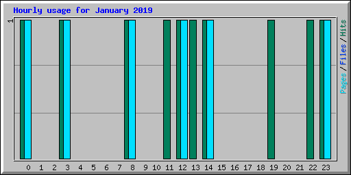 Hourly usage for January 2019